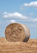 Round bale of prairie hay on field