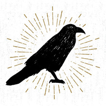 Hand Drawn Halloween Icon With A Textured Raven Vector Illustration.