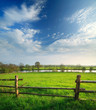 Spring Landscape of Green Meadow with Wooden Fence along River under Blue Sky