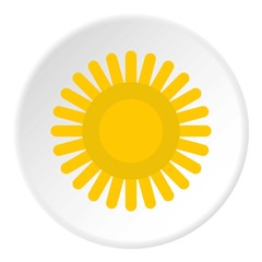 Wall Mural - Sun icon. Flat illustration of sun vector icon for web