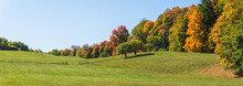 Rolling Hills On A Farm Meadow  In Fall With Trees Showing Autumn Foliage Colors 
