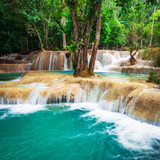 Fototapeta Las - Jangle landscape with amazing turquoise water of Kuang Si cascade waterfall at deep tropical rain forest. Luang Prabang, Laos travel landscape and destinations