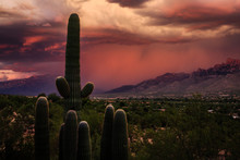 A Monsoon Storm In The Foothills Of The Santa Catalina Mountains Bathed In Red Sunset Light. Tucson, Arizona.