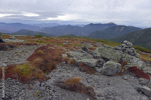 Fotografie, Obraz The Alpine subarctic zone in Autumn colors on the summit of an Adirondack 46er i
