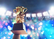 © natara - Man holding up a gold trophy cup,win concept.