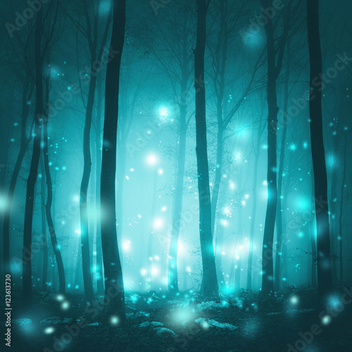 Fotografie, Obraz Magical foggy forest trees with artistic fireflies light background