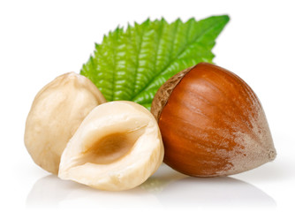 Poster - Hazelnuts and leafs