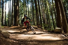 Male Cyclist Cycling In Forest
