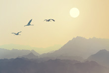 Migrating Birds Flying To The Sun Over The Mountains. Flock Of Cranes In The Sky Against Beautiful Nature Landscape. Tonad Colors. Retro Style Image