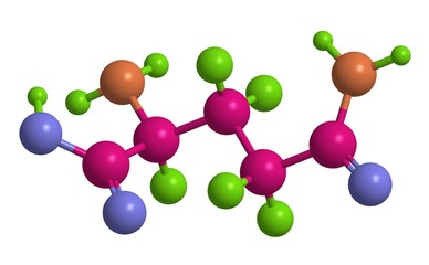 Wall Mural - Molecular structure of L - glutamine