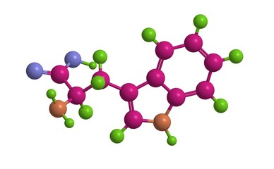 Canvas Print - Molecular structure of trpytophan