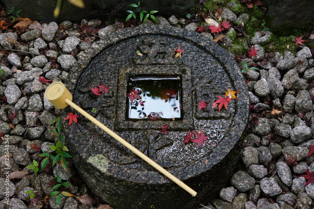 吾唯足知Stock Photo | Adobe Stock