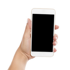 Wall Mural - mobile phone on hand