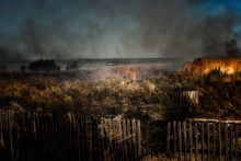 Ground Fire - Burning Grass In The Steppe
