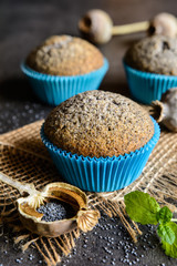 Wall Mural - Homemade healthy muffins with poppy seeds