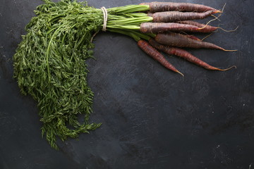 Ripe black carrots. Dark stone background. Autumn harvest.