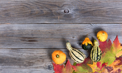 Wall Mural - Real autumn gourd decorations and leaves on rustic wooden boards