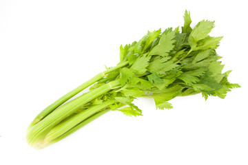 Wall Mural - celery isolated on white background