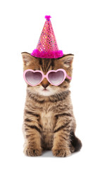 Wall Mural - Small cute kitten in pink heart-shaped sunglasses and party hat isolated on white