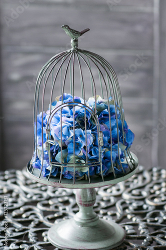 Fotografia Birdcage with flowers inside