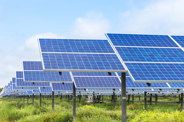 Wall Mural - solar panels in solar power station