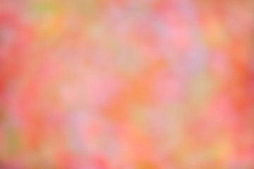 Poster - Autumn. Blurred Fall Abstract autumnal background with colorful leaves and sun