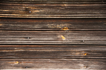 Wooden logs wall as background