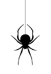 vector spider silhouette