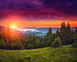 Wall Mural - Majestic colorful sunset