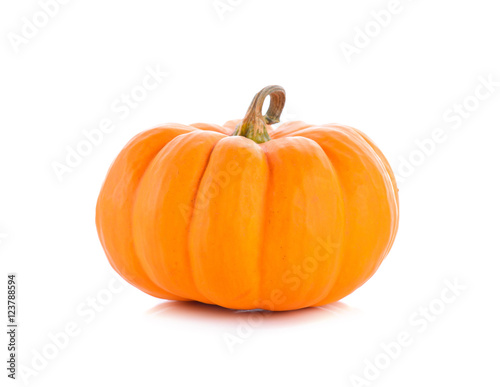 Fotografie, Obraz Studio shot of a nice ornamental pumpkin on pure white backgroun