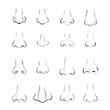 different types of nose