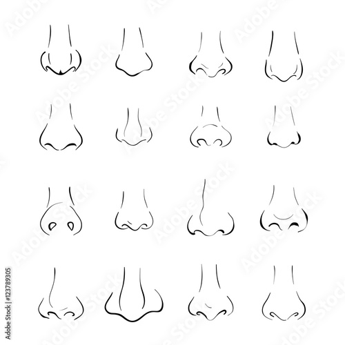 different types of nose - Buy this stock vector and explore similar ...