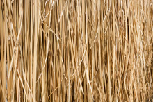 Yellow Hay Wall Texture Background,natural Objetct