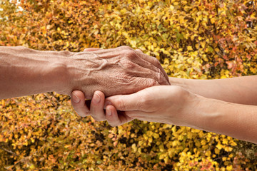 Wall Mural - Hands of an elderly senior holding the hand of a woman