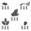 Set of logos on an oak tree with leaves and acorns.Vector illust
