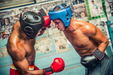 Wall Mural - Two boxer fighting in the gym