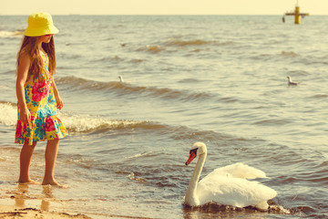 Girl playing with adult swan.