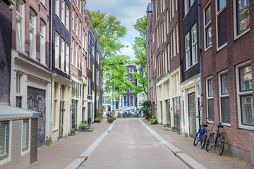 Wall Mural - street of amsterdam