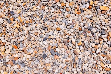 Poster - Background of small pebbles sea. Natural background for park foor or pateway
