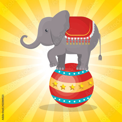 Fotografia, Obraz circus elephant festival show over yellow background