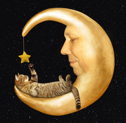 a funny cat lies on the moon. the moon looks like a face of a man.
