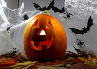 Halloween pumpkin on leaves close up on white