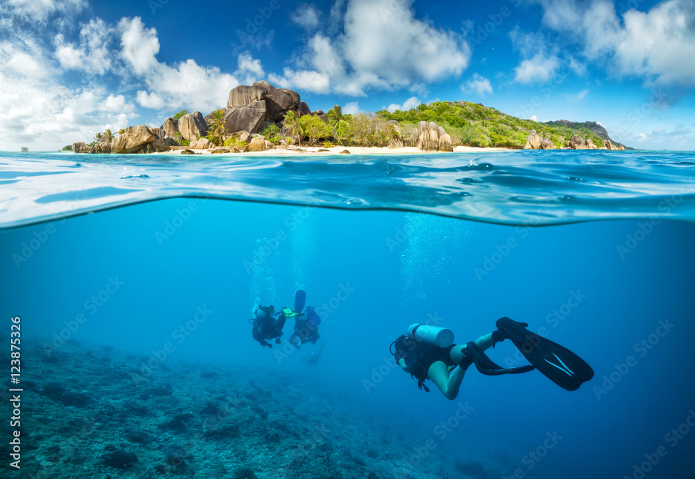 Divers below the surface in Seychelles - obrazy, fototapety, plakaty 