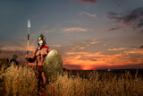 Fototapeta Most - Armored Spartan warrior with a field