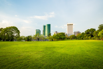 Public park landscape