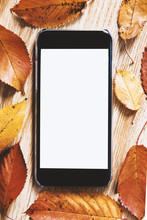 Cell Phone In Autumn Mode, Copy Space Mode.