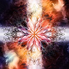 Fototapete - Beautiful ornamental mandala with tree pattern, symbol of life.