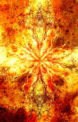 Fototapete - Beautiful ornamental mandala with tree pattern, symbol of life.