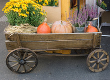 Wooden Wagon Carriage Full Of Pumpkins, Flowers, Lavender And Hay, Straw Made For Decoration