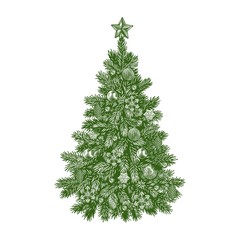 christmas tree, detailed vintage vector illustration